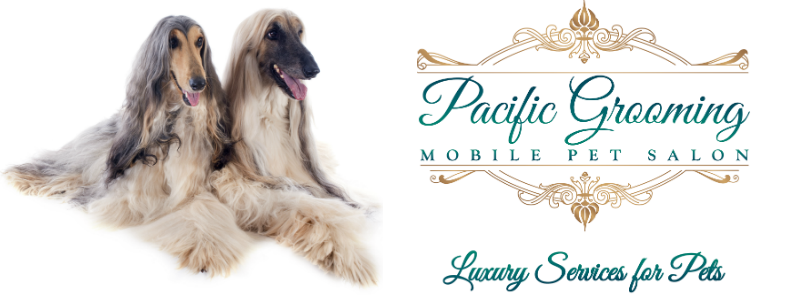 Pacific Grooming - Sandra Perez - Dog Grooming School - Pet Grooming  Services