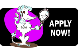 apply-now_254px