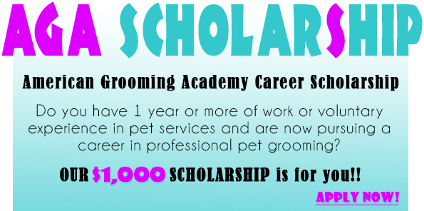 career-scholarship-lg