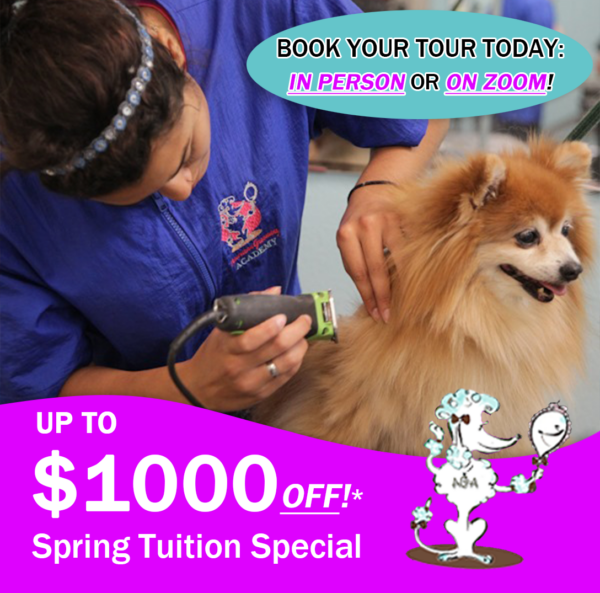 Tuition special - updated